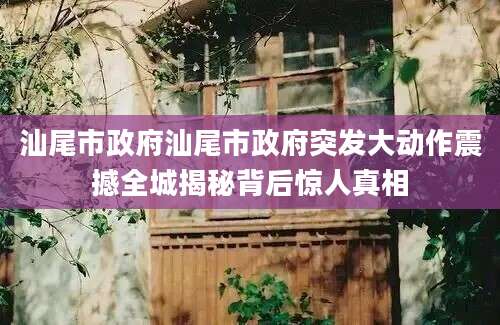 汕尾市政府汕尾市政府突发大动作震撼全城揭秘背后惊人真相
