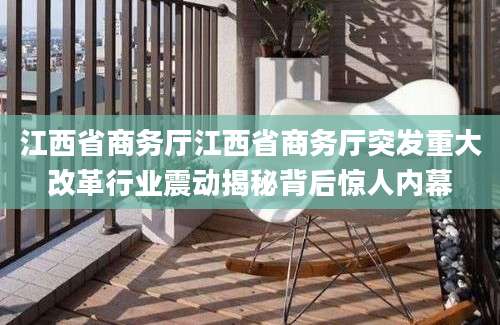 江西省商务厅江西省商务厅突发重大改革行业震动揭秘背后惊人内幕